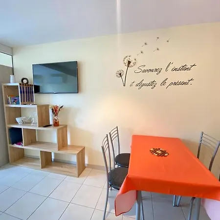 Apartment Les Floralies - Dans Avec Piscine *